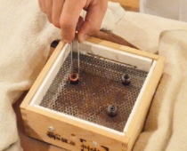 腸活治療