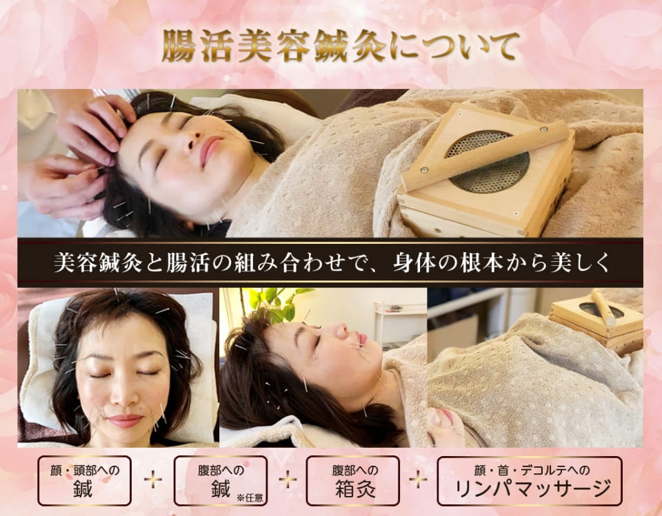 美容鍼灸と腸活の組み合わせで、身体の根本から美しく